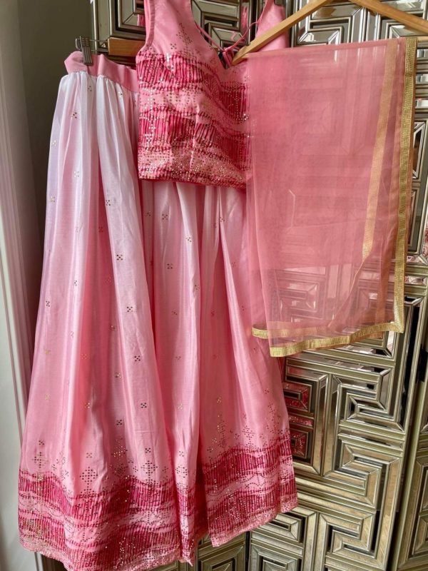 Lehenga Choli Pink - Image 2